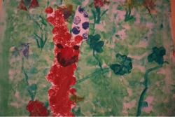 Rominas Hase