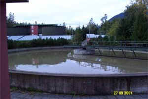 Vorklrbecken